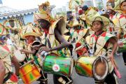 Col6TBK